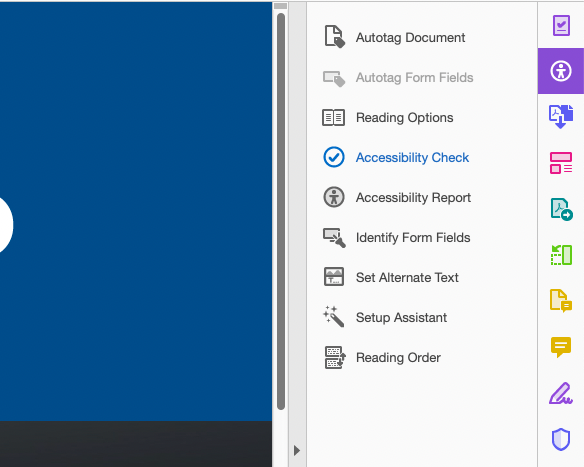 A tools panel with Accessibility selected and the check feature highlighted