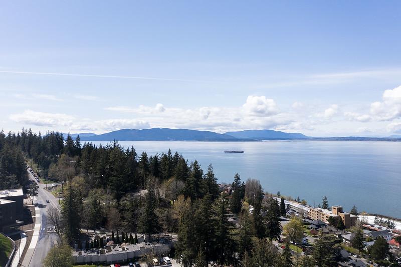 Bellingham Bay surrounded by trees and buildings